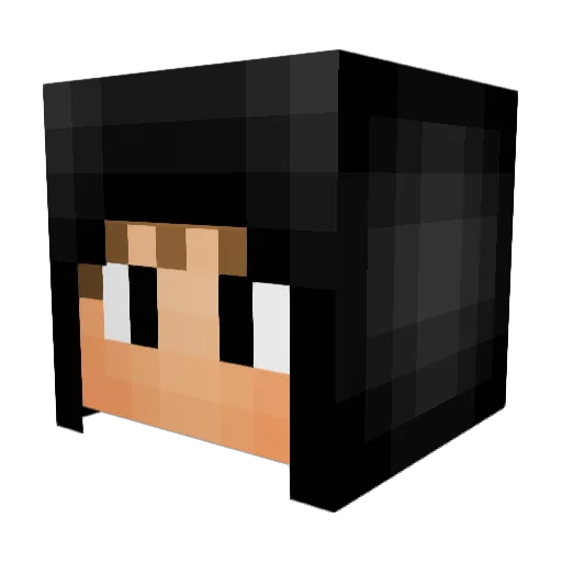 champts14 Minecraft avatar head, 3D render
