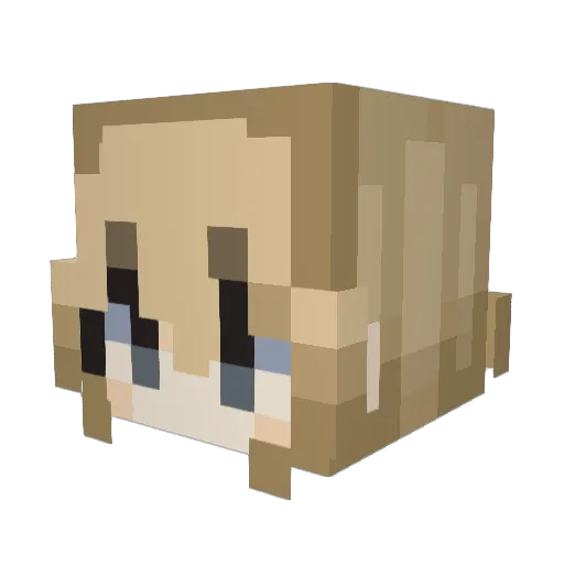 chancethefapper1 Minecraft avatar head, 3D render