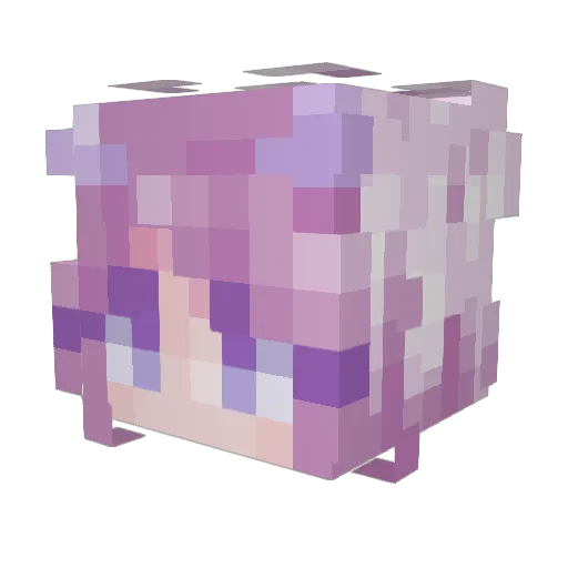 chanchan211 Minecraft avatar head, 3D render