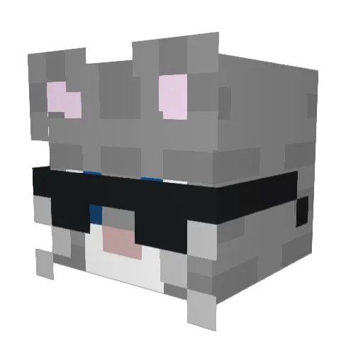chanchisco Minecraft avatar head, 3D render
