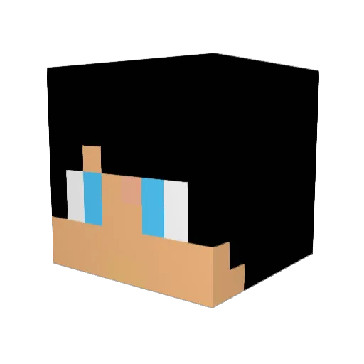 chancho87 Minecraft avatar head, 3D render