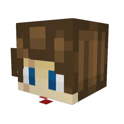 chane296 Minecraft avatar head, 3D render