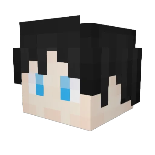 change_money Minecraft avatar head, 3D render