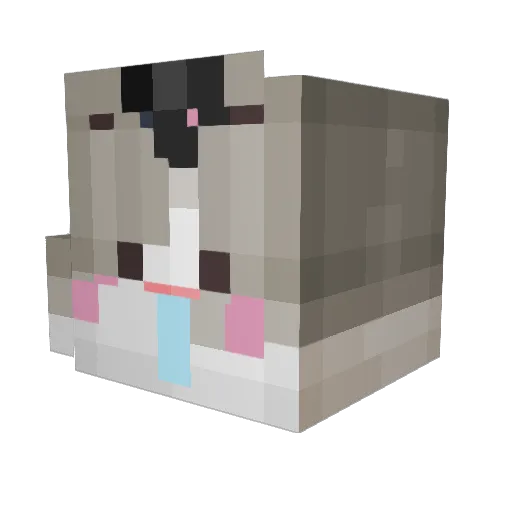 chanhyun1107 Minecraft avatar head, 3D render