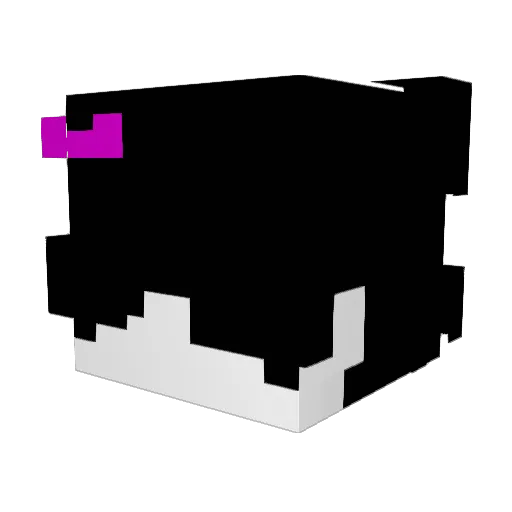 chanky__ Minecraft avatar head, 3D render