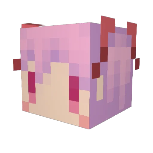 chanoge Minecraft avatar head, 3D render