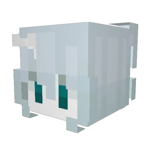chao__chao Minecraft avatar head, 3D render