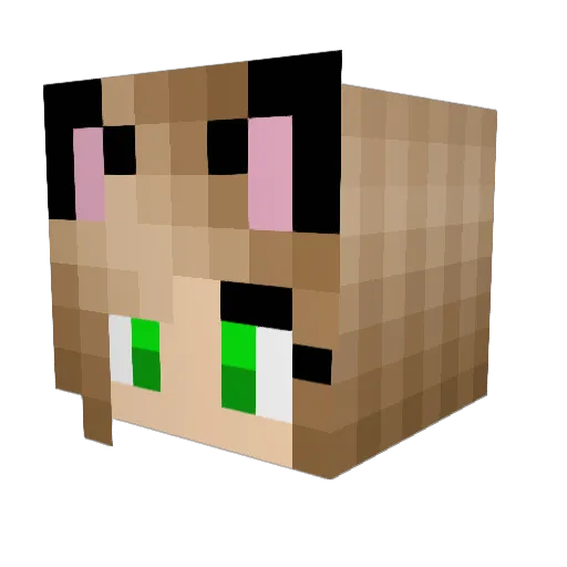 chaoco Minecraft avatar head, 3D render