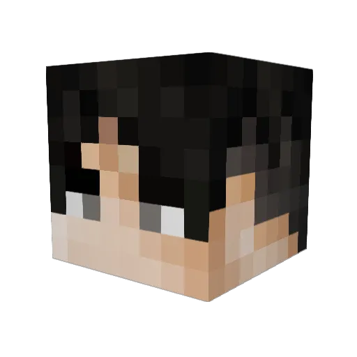 chaos220 Minecraft avatar head, 3D render