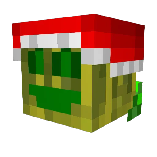 chaosflo37 Minecraft avatar head, 3D render