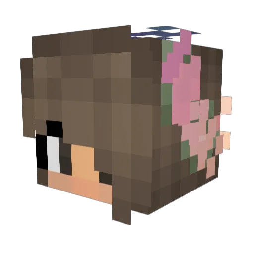 chaosplayer200 Minecraft avatar head, 3D render