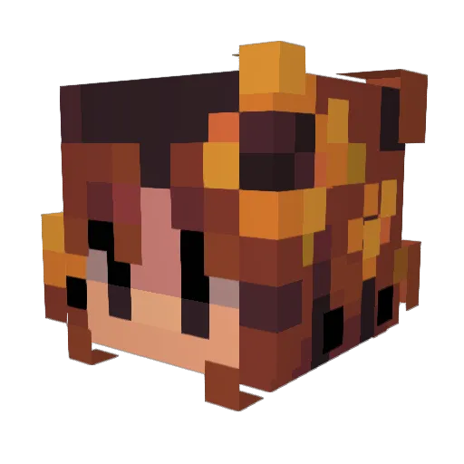 chaotic3652 Minecraft avatar head, 3D render