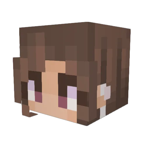 chaoticsyd Minecraft avatar head, 3D render