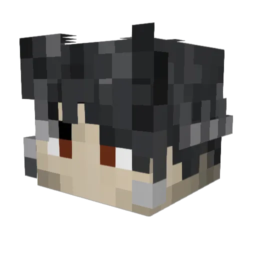chaozbandit Minecraft avatar head, 3D render