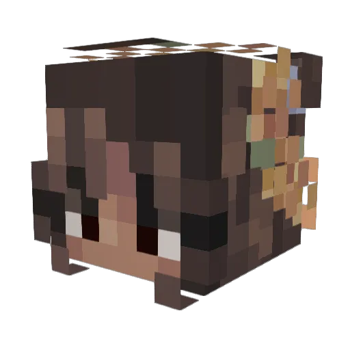 chapi_1 Minecraft avatar head, 3D render