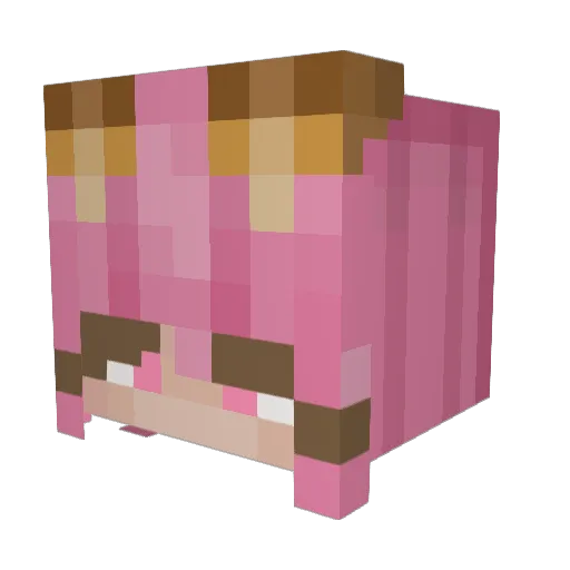 chara_alksy Minecraft avatar head, 3D render