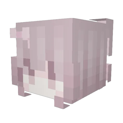 charcharOP Minecraft avatar head, 3D render