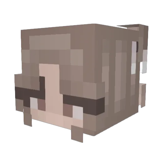 charcoalitos Minecraft avatar head, 3D render