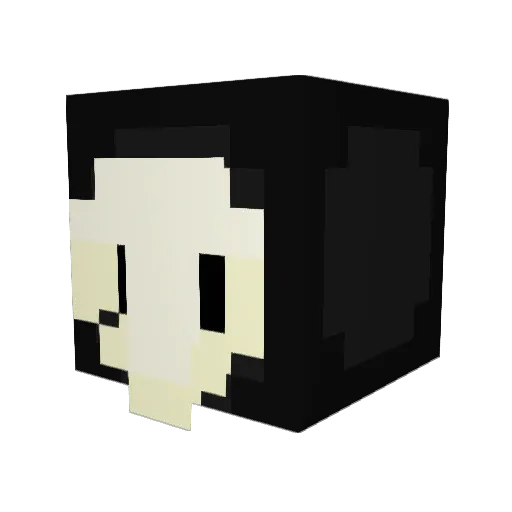 charcoalsun Minecraft avatar head, 3D render