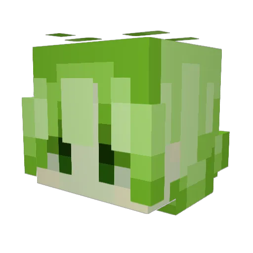 chargr Minecraft avatar head, 3D render