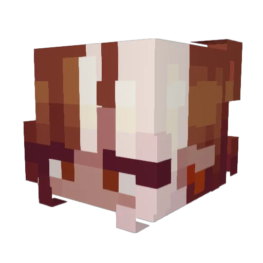 chargrease Minecraft avatar head, 3D render