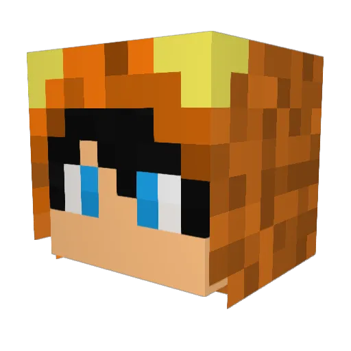 chari199 Minecraft avatar head, 3D render