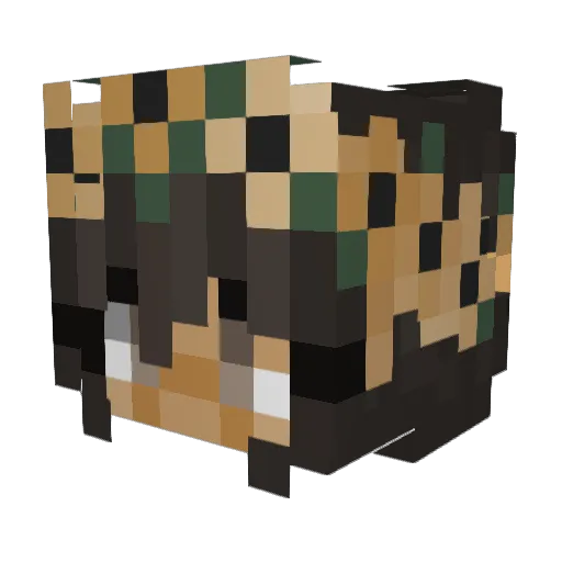 chariehoney Minecraft avatar head, 3D render