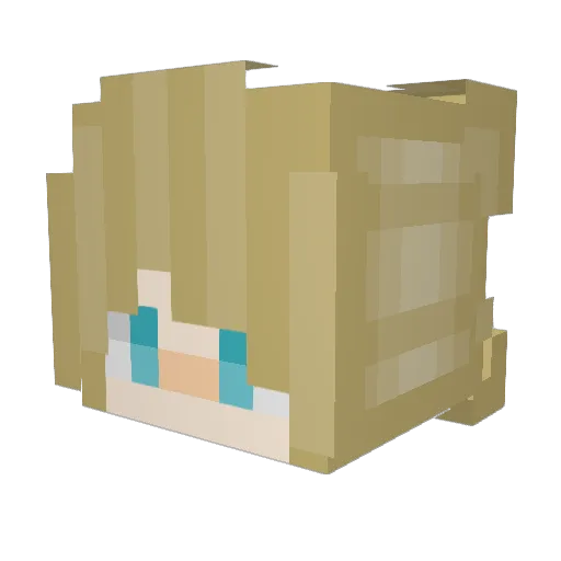 charizard554 Minecraft avatar head, 3D render