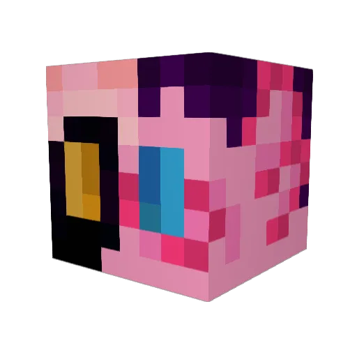 charizardshyni Minecraft avatar head, 3D render