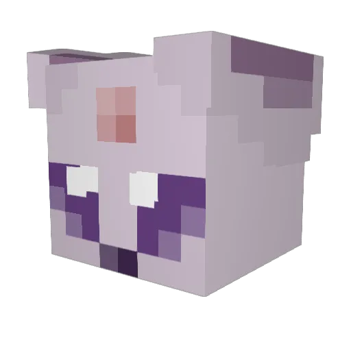 charlayyyy Minecraft avatar head, 3D render