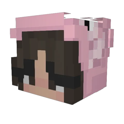 charlenevrs Minecraft avatar head, 3D render