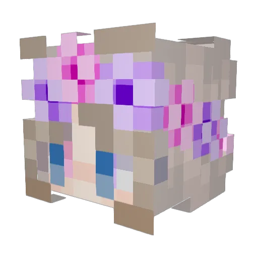 charley64 Minecraft avatar head, 3D render