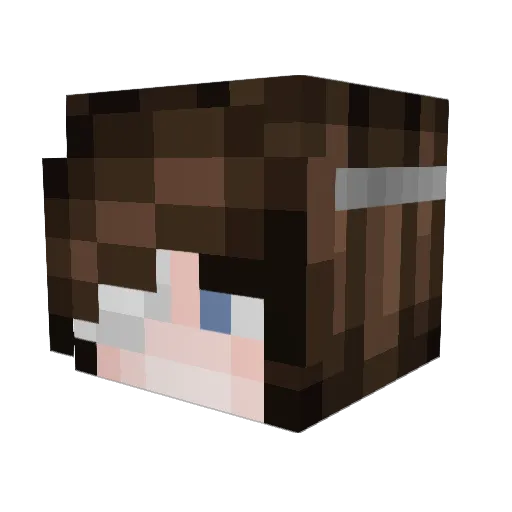 charley7d6 Minecraft avatar head, 3D render