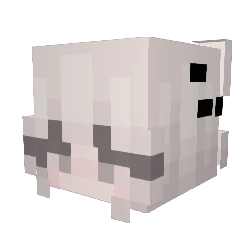 charleyRae Minecraft avatar head, 3D render
