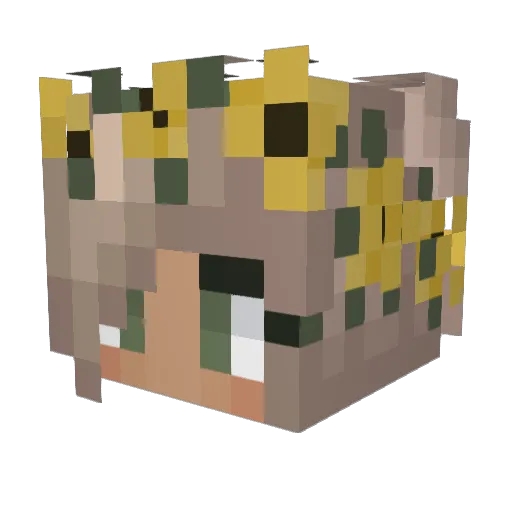 charli_phillips Minecraft avatar head, 3D render