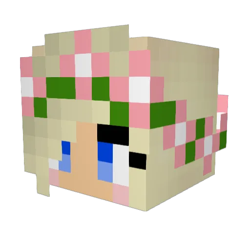 charlie2879 Minecraft avatar head, 3D render