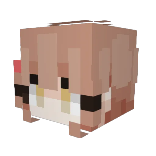 charlie778900 Minecraft avatar head, 3D render