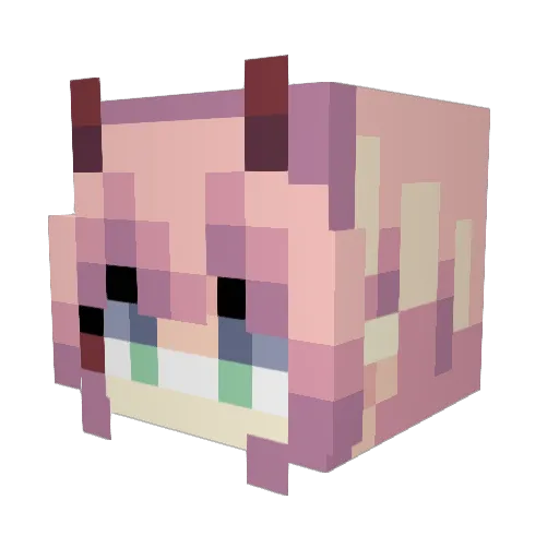 charliecha Minecraft avatar head, 3D render