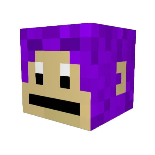 charlier5 Minecraft avatar head, 3D render