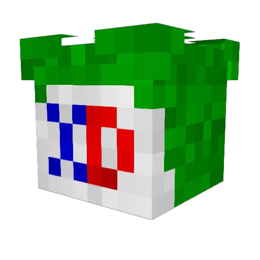 charlies1 Minecraft avatar head, 3D render