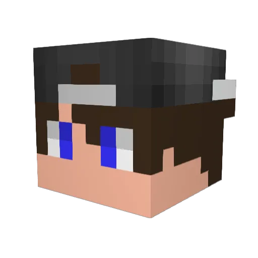 charlinho04 Minecraft avatar head, 3D render