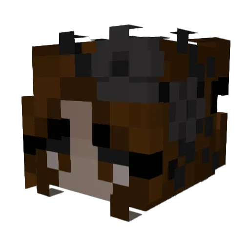 charliwastaken Minecraft avatar head, 3D render