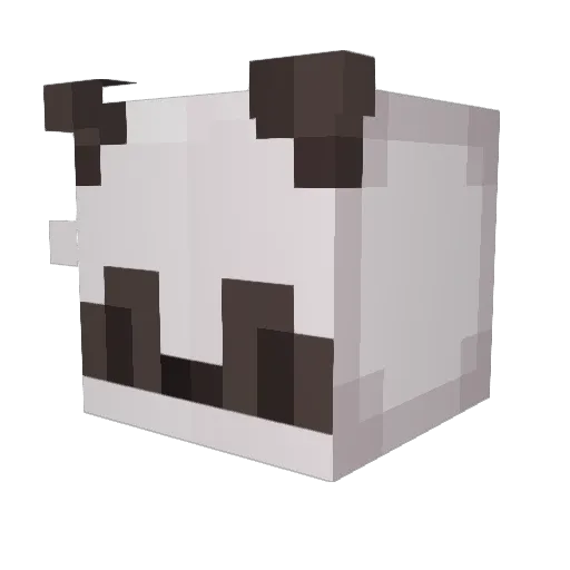 charlotteXD Minecraft avatar head, 3D render