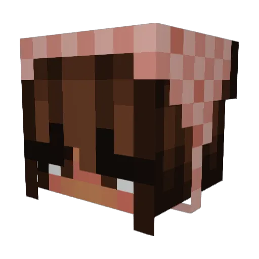 charlottetaraa Minecraft avatar head, 3D render