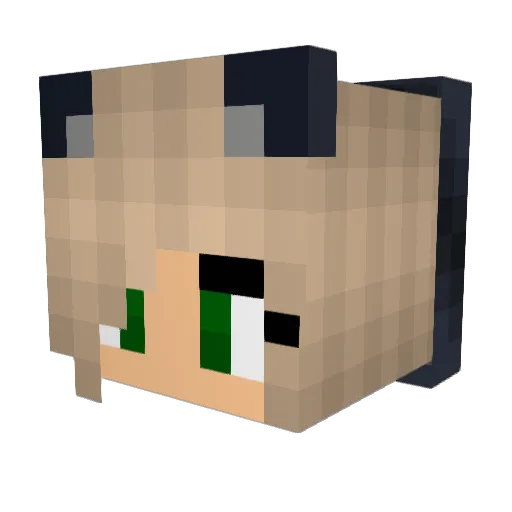 charlycatz Minecraft avatar head, 3D render
