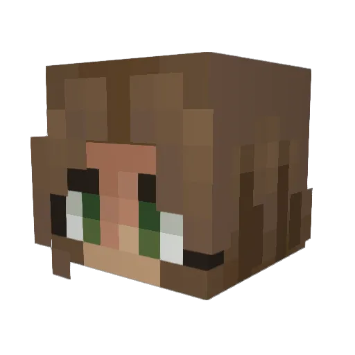 charlyw02 Minecraft avatar head, 3D render