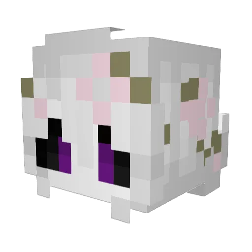 charm_y3 Minecraft avatar head, 3D render