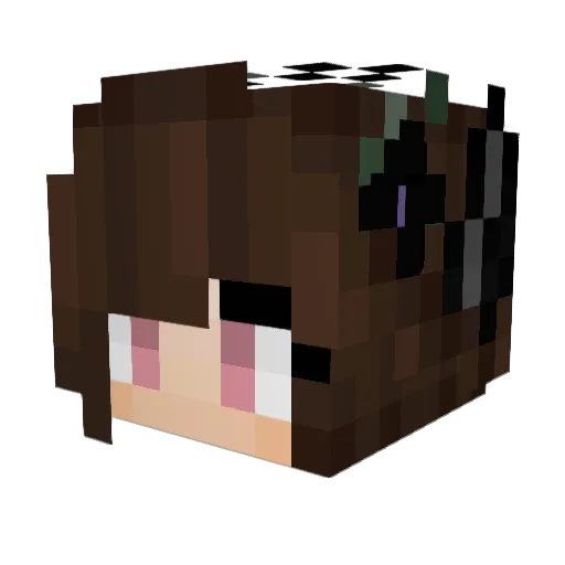 charmander360 Minecraft avatar head, 3D render