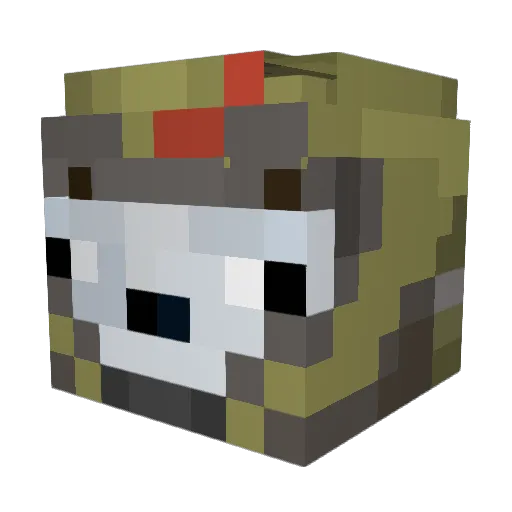 charmander726 Minecraft avatar head, 3D render