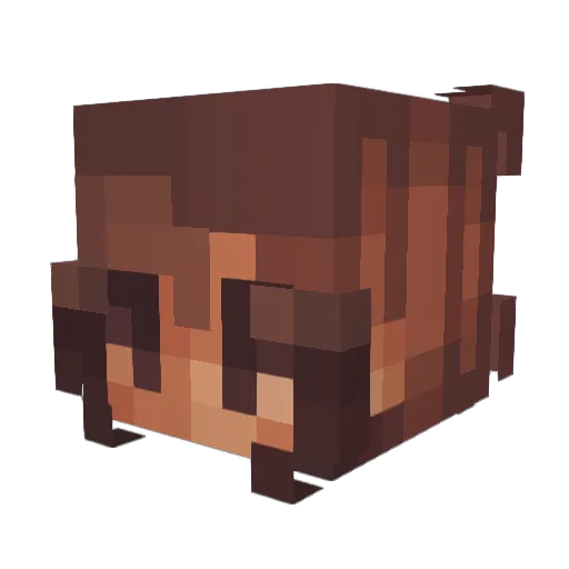 charmcarm Minecraft avatar head, 3D render